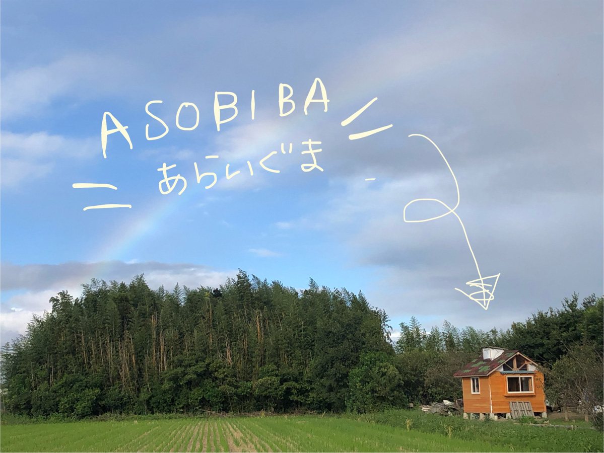 ASOBIBA あらいぐま