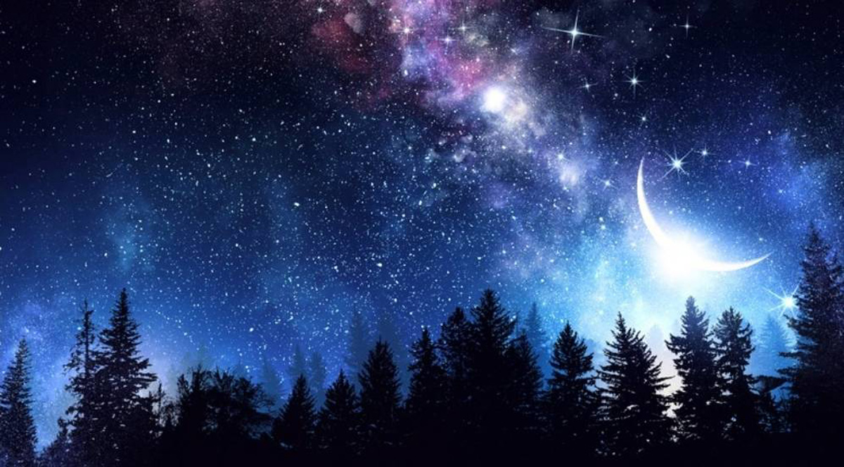 星読む居場所 星読みSAWA